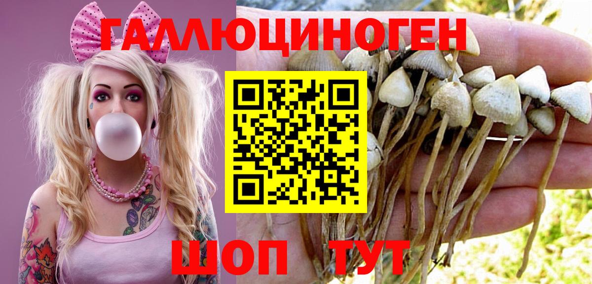 Ахтубинск  Псилоцибиновые грибы мухоморы  Вход с VPN 
