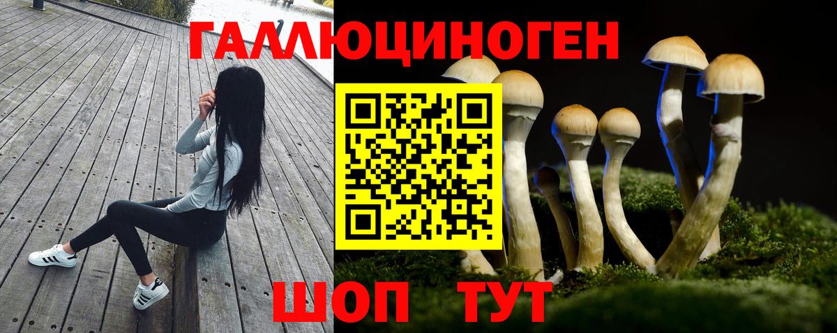 Галлюциногенные грибы ЛСД Ахтубинск